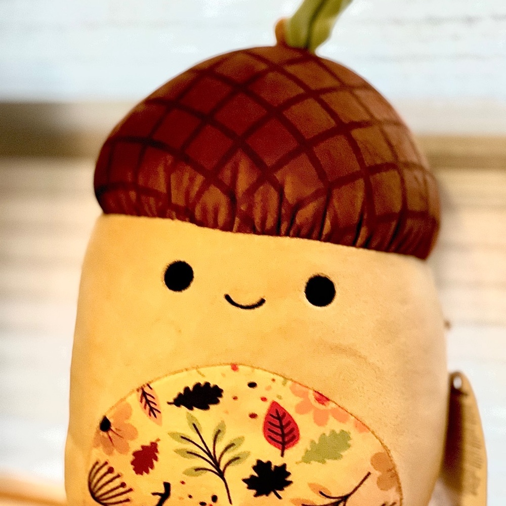 MAC the Acorn Autumn Edition Squishmallow!